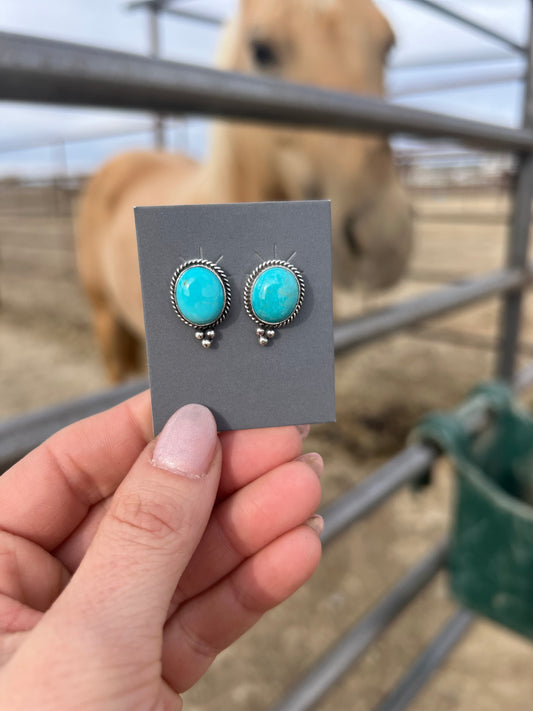 Theresa Smith Navajo Kingman post back earrings