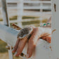 Beautiful half sphere statement ring, Navajo made and stamped adjustable